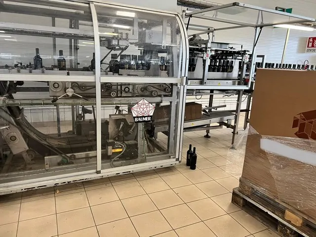 Incartonatrice Wrap-Around Baumer Flex 512/3