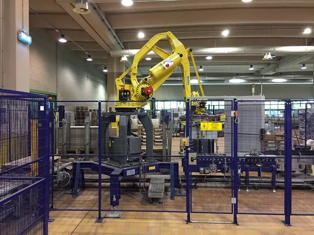 Pallettizzatore Berchi Robot